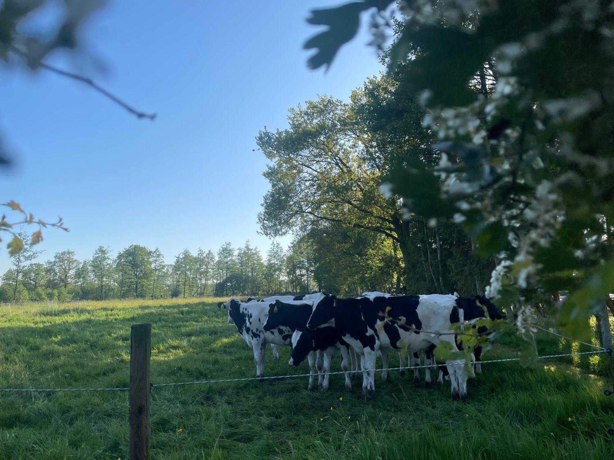 B&B 'T Landschap Boelenslaan Luaran gambar